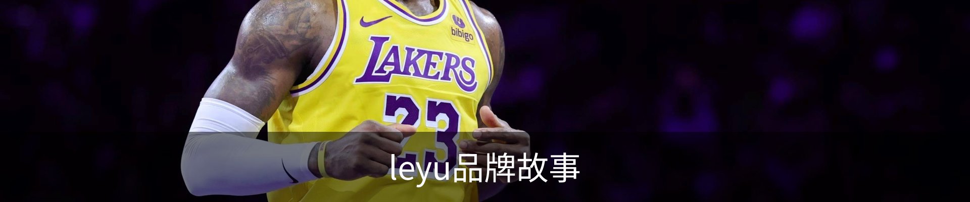 leyu品牌故事